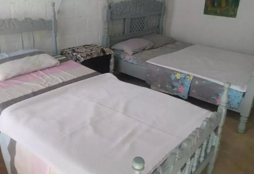 ペンション Hostal Mayapo Beach