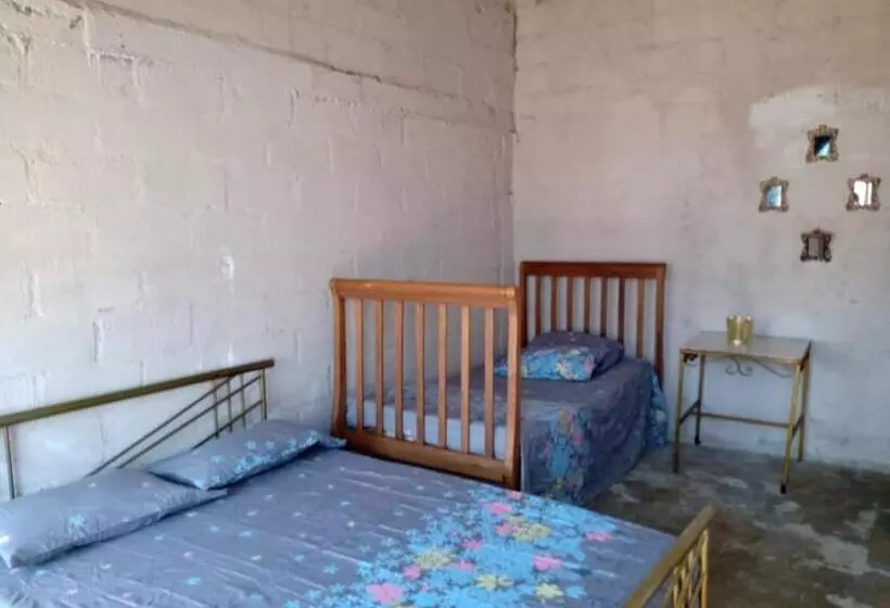 ペンション Hostal Mayapo Beach