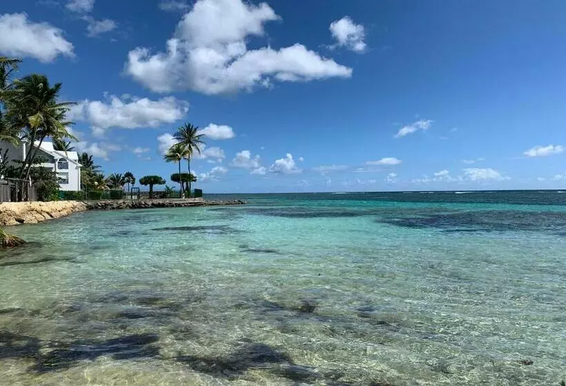 T3 Les Pieds Dans L Eau à St Anne