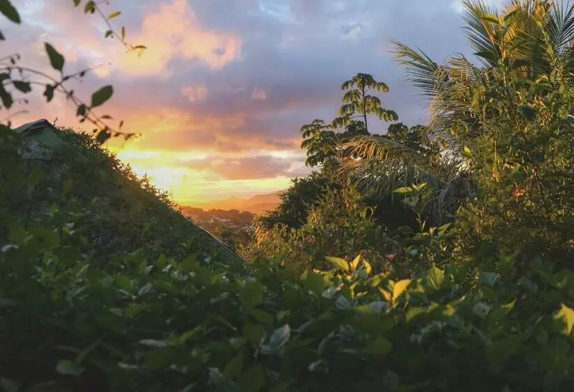 هاستل Estación Biológica Agualí
