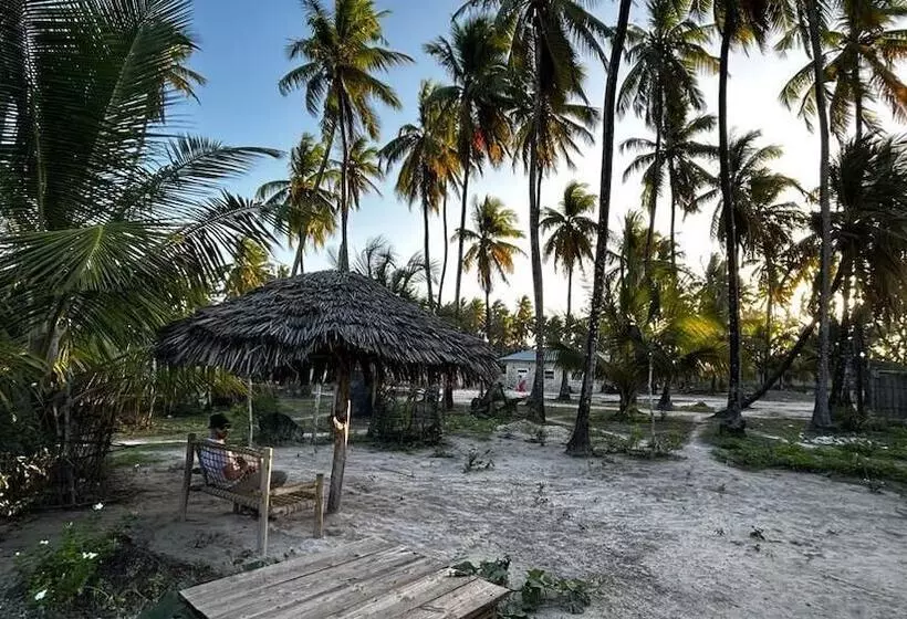 ベッドアンドブレックファースト Stonefish Inn Jambiani