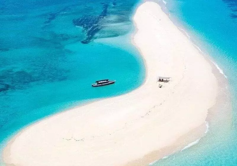 ベッドアンドブレックファースト Stonefish Inn Jambiani