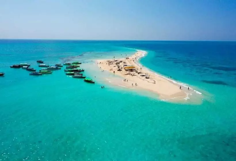 ベッドアンドブレックファースト Stonefish Inn Jambiani