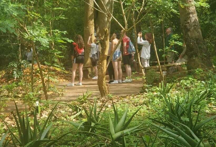 Bed and Breakfast Stonefish Inn Jambiani