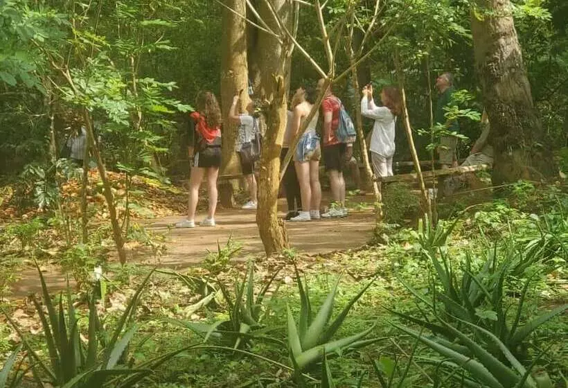 ベッドアンドブレックファースト Stonefish Inn Jambiani