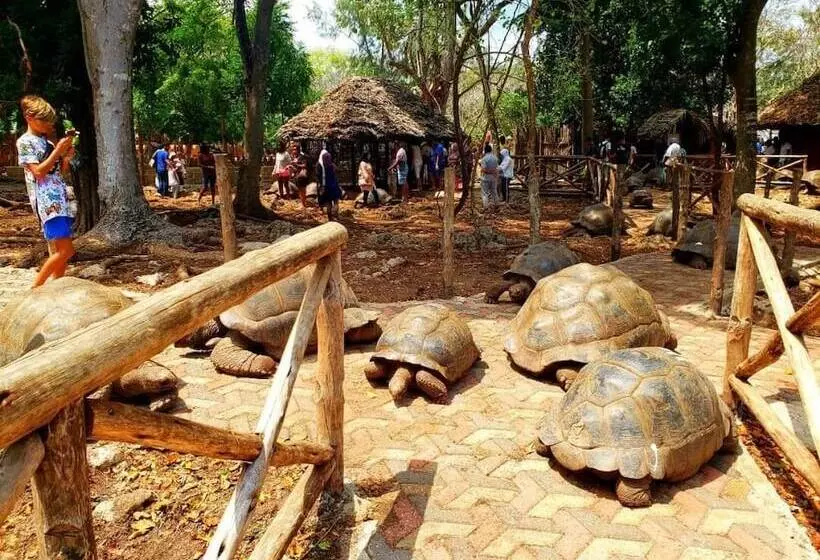 ベッドアンドブレックファースト Stonefish Inn Jambiani