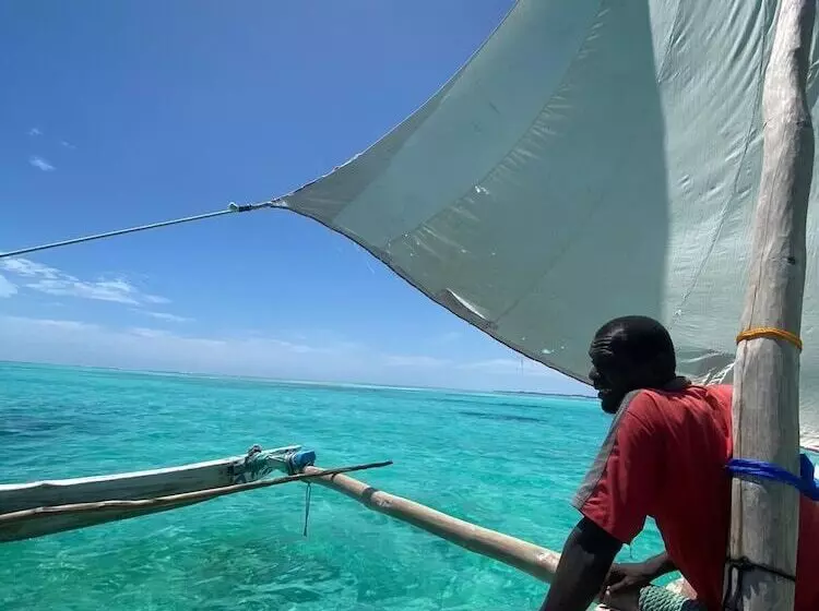 ベッドアンドブレックファースト Stonefish Inn Jambiani