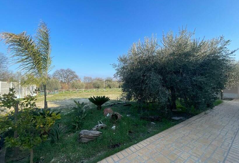 بنسيون Villa Natura