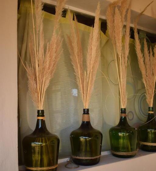 Bed & Breakfast Tiempo De Bienestar