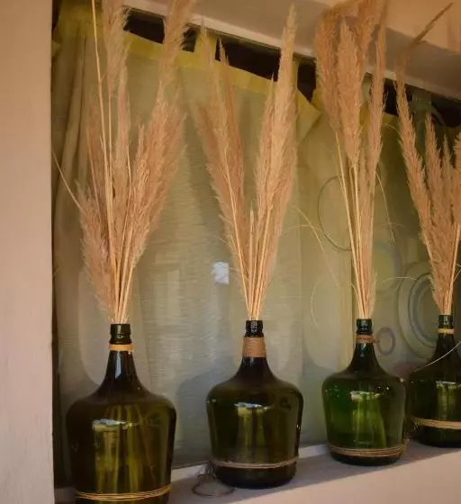 Aamiaismajoitus (B&B) Tiempo De Bienestar