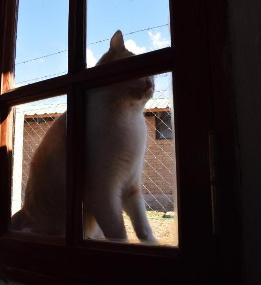 Bed & Breakfast Tiempo De Bienestar