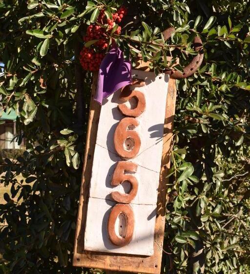 Bed & Breakfast Tiempo De Bienestar