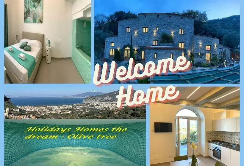 Holidays Homes The Dream