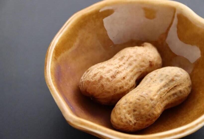 مبيت وإفطار Bandai