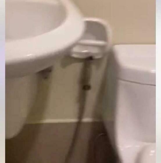 Pensionat Ara S Turf