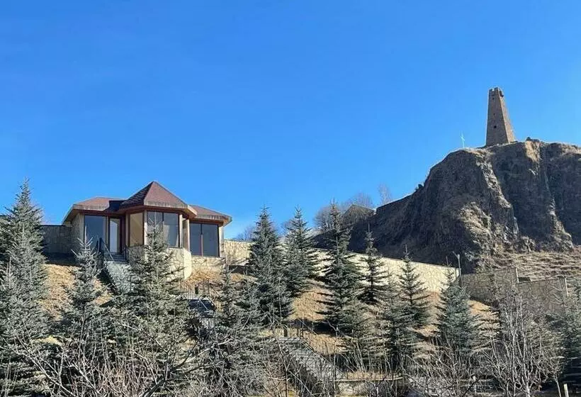 پانسیون Family_hotel_vardisubani