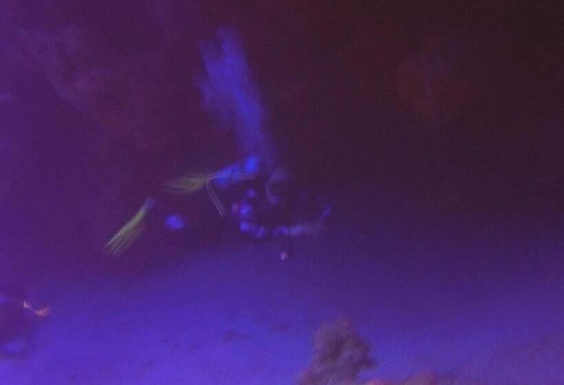 شقه مفروشه بمكان مركزى بالقرب دقائق من المطار ومصر الجديدة وسيتى ستارز وكايرو فيستيفال