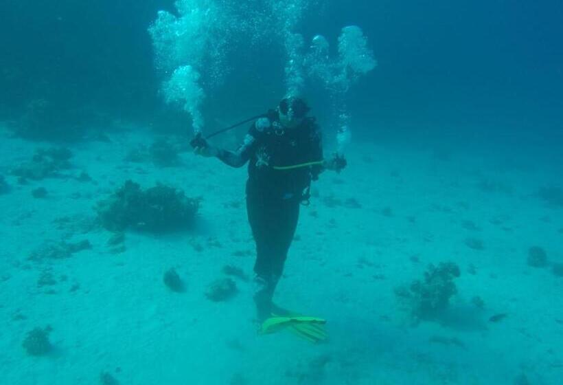شقه مفروشه بمكان مركزى بالقرب دقائق من المطار ومصر الجديدة وسيتى ستارز وكايرو فيستيفال