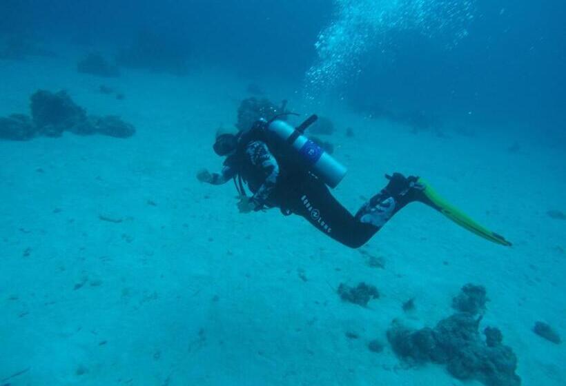 شقه مفروشه بمكان مركزى بالقرب دقائق من المطار ومصر الجديدة وسيتى ستارز وكايرو فيستيفال