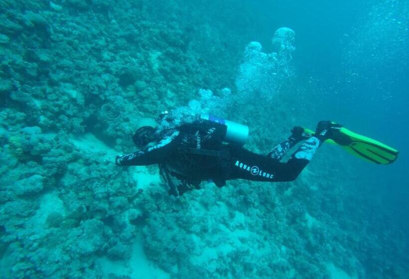 شقه مفروشه بمكان مركزى بالقرب دقائق من المطار ومصر الجديدة وسيتى ستارز وكايرو فيستيفال