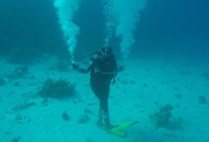 شقه مفروشه بمكان مركزى بالقرب دقائق من المطار ومصر الجديدة وسيتى ستارز وكايرو فيستيفال