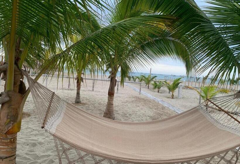 Bed & Breakfast Hospedaje & Casa Playa Aurora