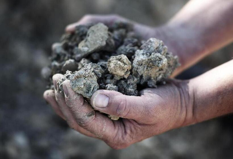 בית מלון כפרי Weingut Matthias Dostert / Culinarium