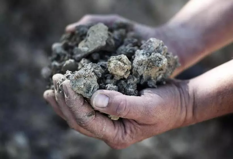 Hotelli Weingut Matthias Dostert / Culinarium