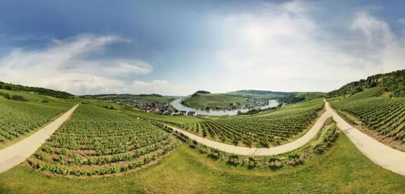 Hotelli Weingut Matthias Dostert / Culinarium