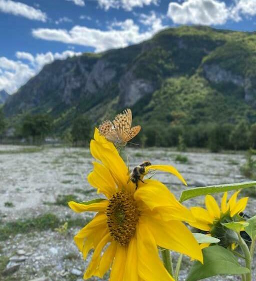 膳宿费 Vita Guesthouse