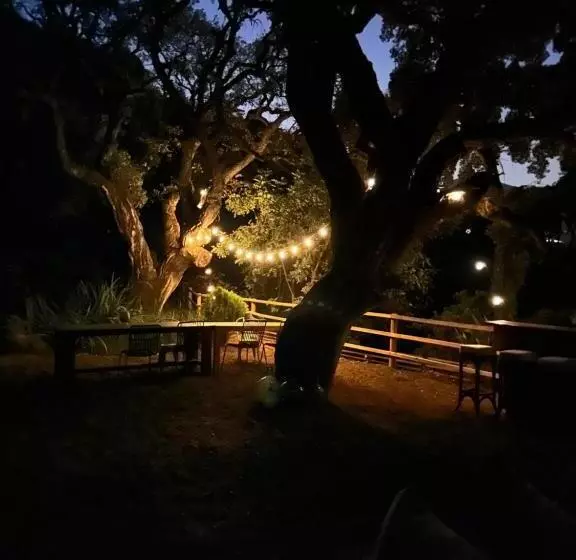 Retkeilymaja All Inclusive Luxurious Coliving La Kookaburra