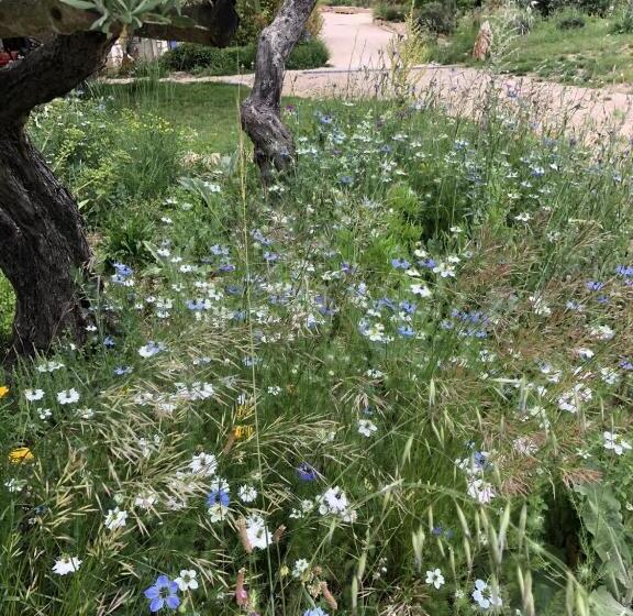 צימר Chambre D Hôtes Bambou