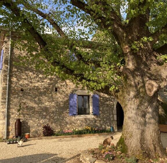 צימר Chambre D Hôtes Bambou