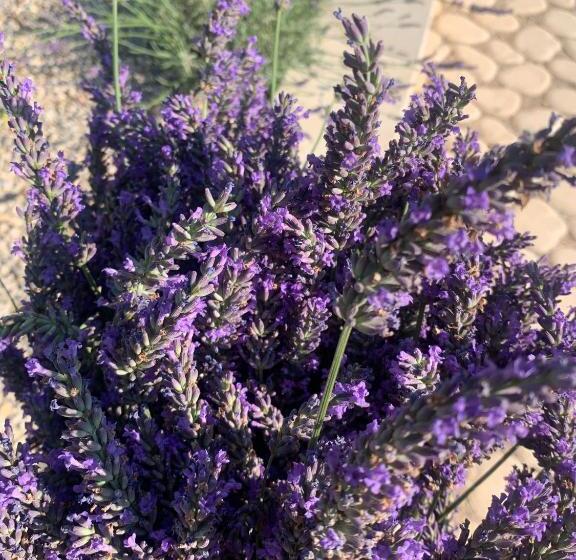 ベッドアンドブレックファースト La Bastide Val De Siagne