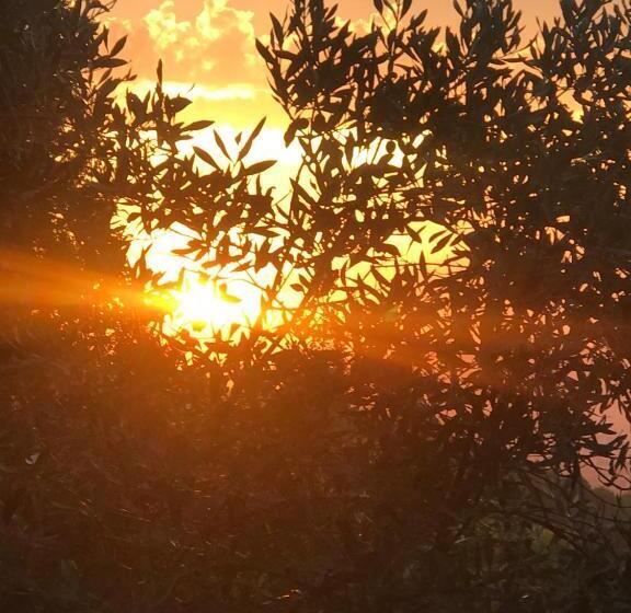 ベッドアンドブレックファースト La Bastide Val De Siagne