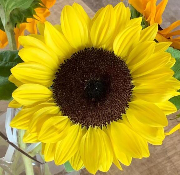 ベッドアンドブレックファースト La Bastide Val De Siagne