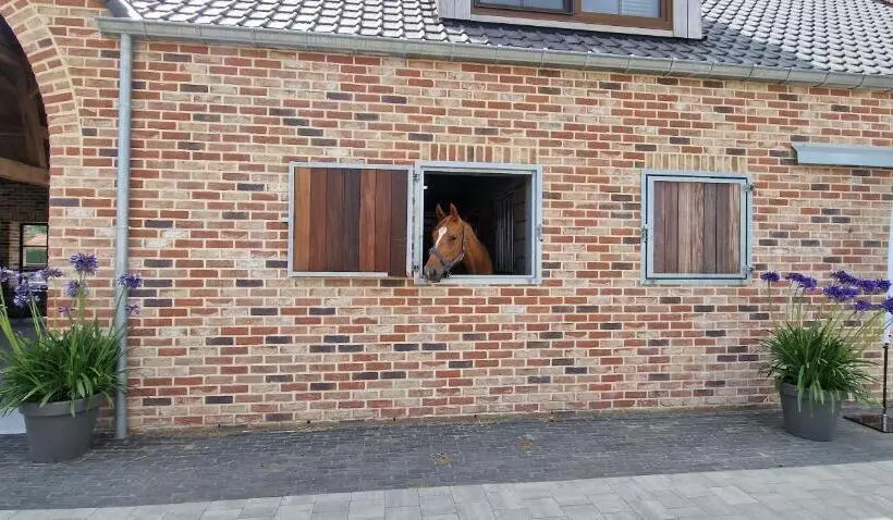 ベッドアンドブレックファースト Logies Op  T Gestel