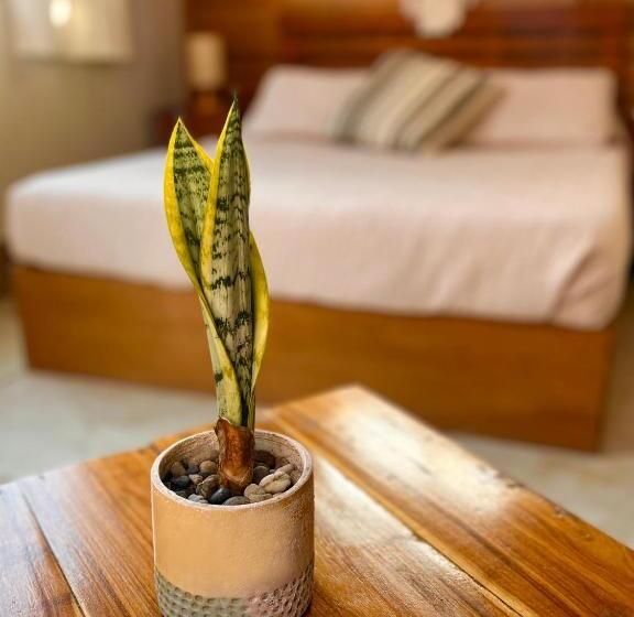 Szálloda Anicca Aldea