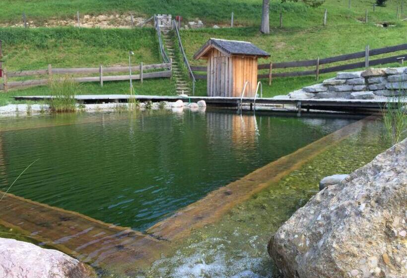 Отель Sonnleit N Zimmer 1