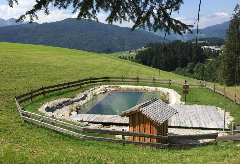 Отель Sonnleit N Zimmer 1