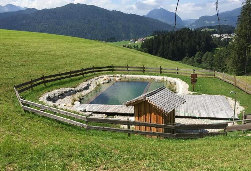 Отель Sonnleit N Zimmer 1