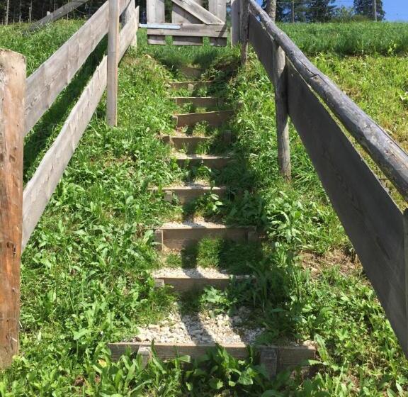 Отель Sonnleit N Zimmer 1