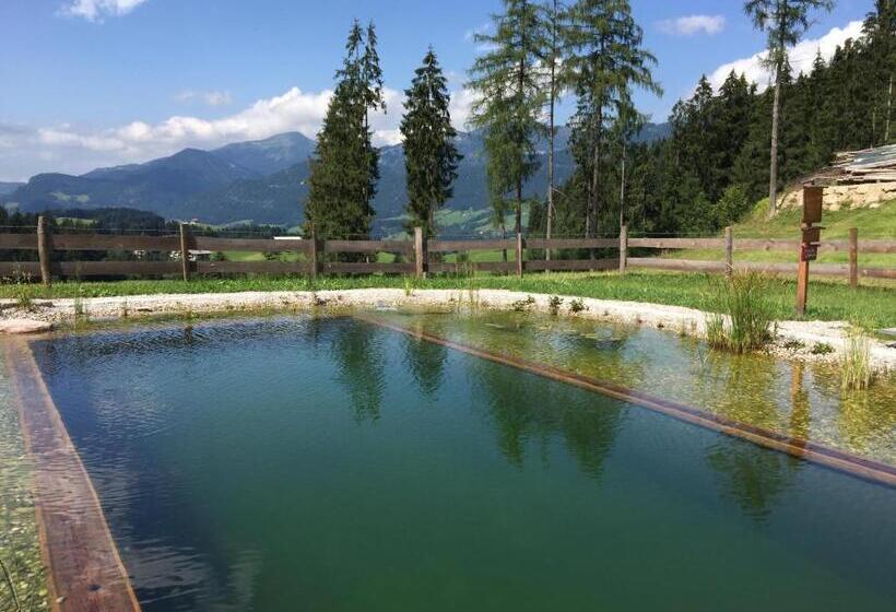 Отель Sonnleit N Zimmer 1