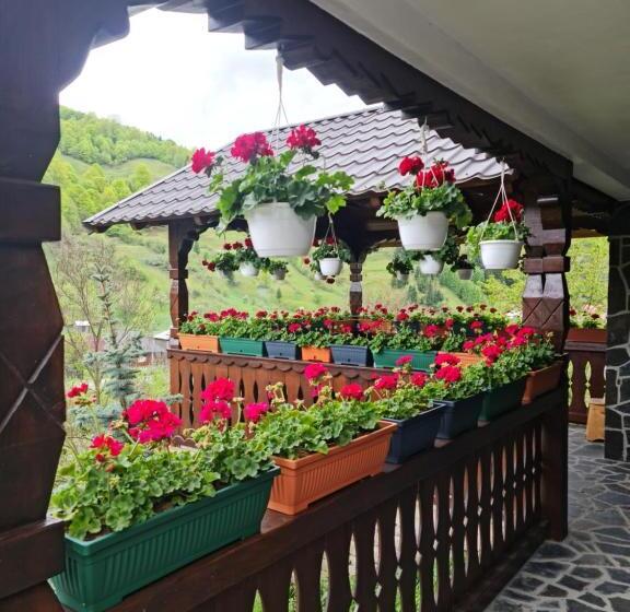 ペンション Pastravaria Rin