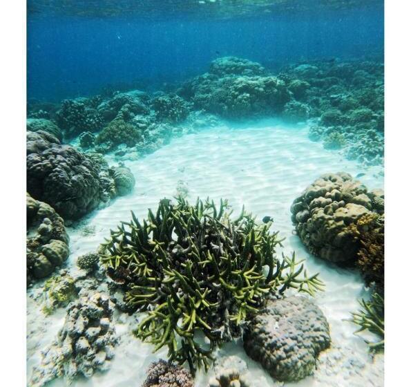 استراحتگاه Home Stay Ramli