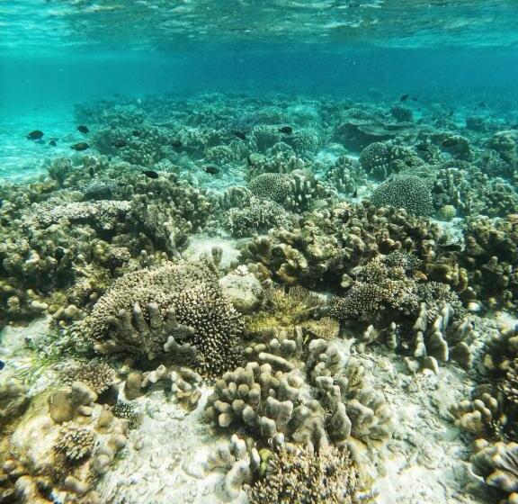 استراحتگاه Home Stay Ramli