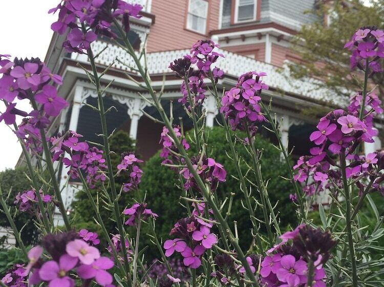 Angel Of The Sea Bed And Breakfast