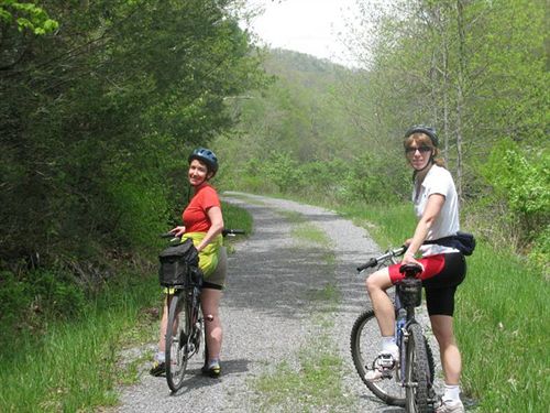 ベッドアンドブレックファースト Serenity Now