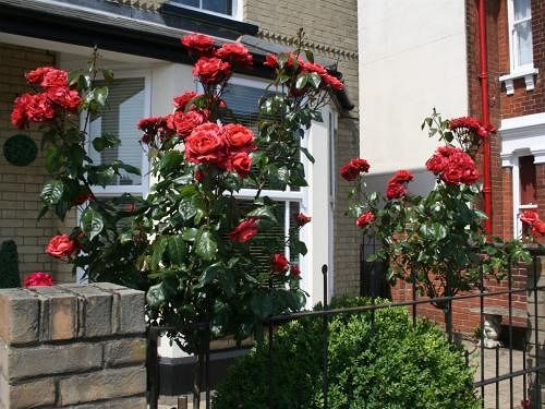 Cranmoor House - B&b