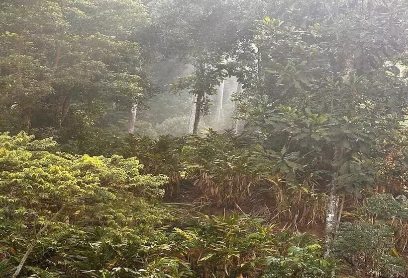 منتجع Falling Waters Munnar